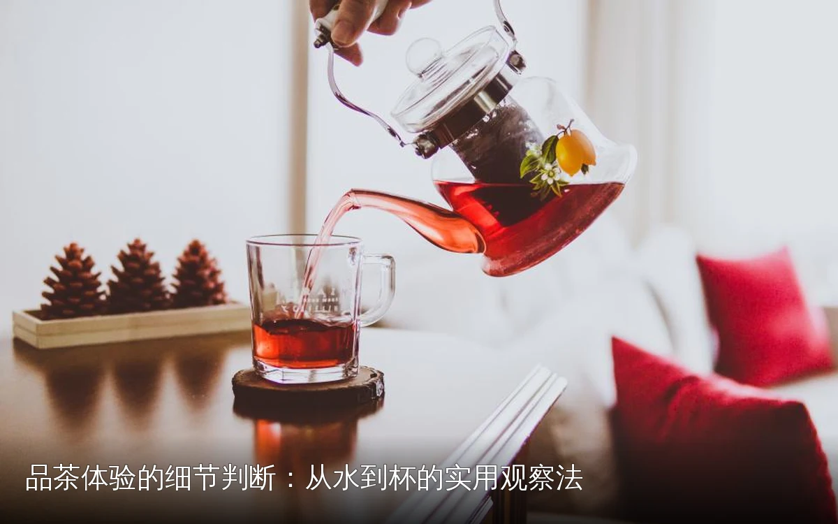 主题场景配图，仅作示意